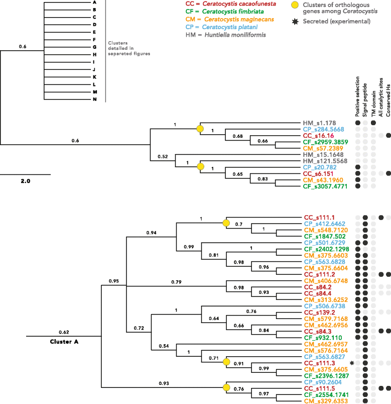 Fig.7