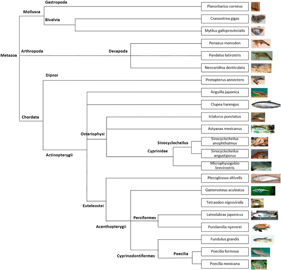 Fig. 3