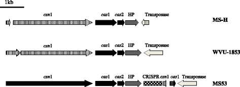 Fig. 5