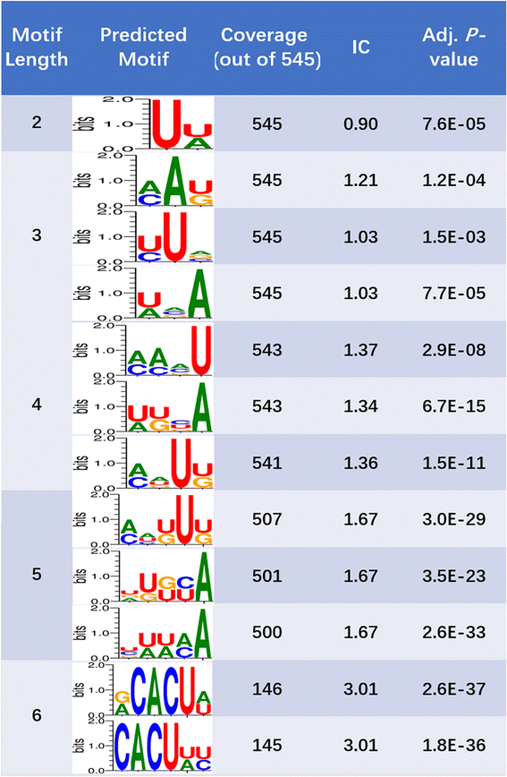 Fig. 10