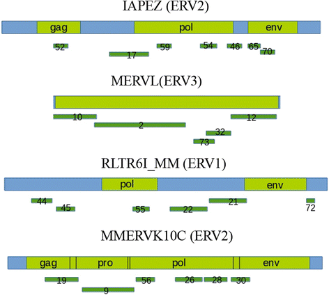 Fig. 2