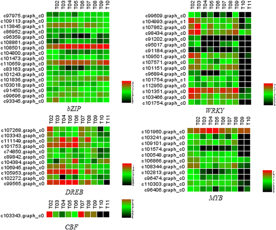 Fig. 10