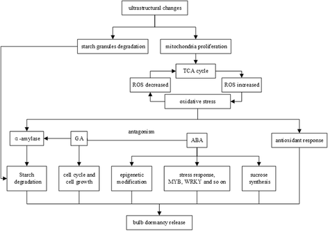 Fig. 11