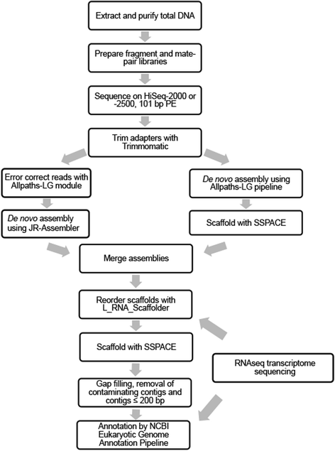 Fig. 13