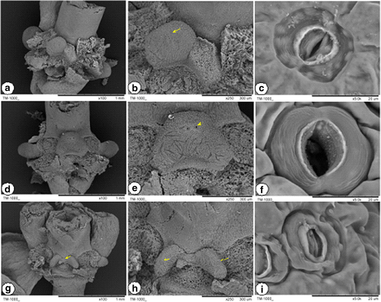 Fig. 10