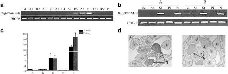 Fig. 9