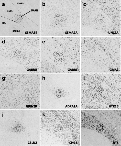 Fig. 13