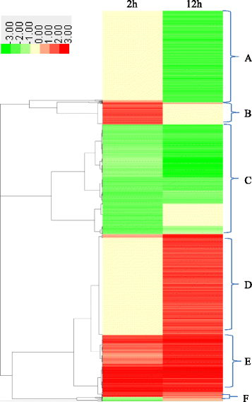 Fig. 8