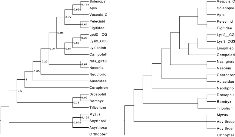 Fig. 8