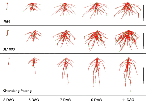 Fig. 4