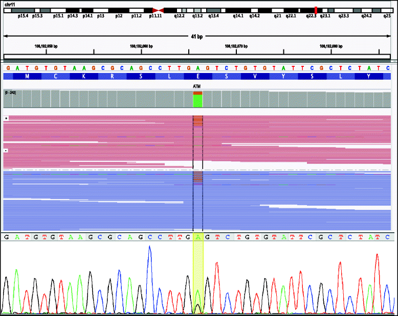 Fig. 3