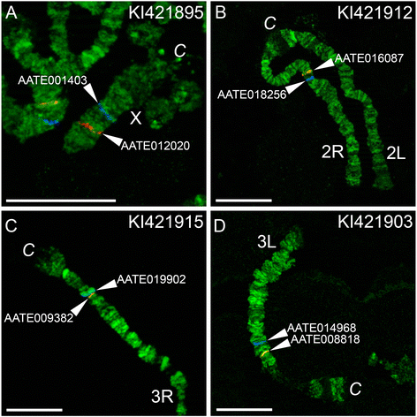 Fig. 2