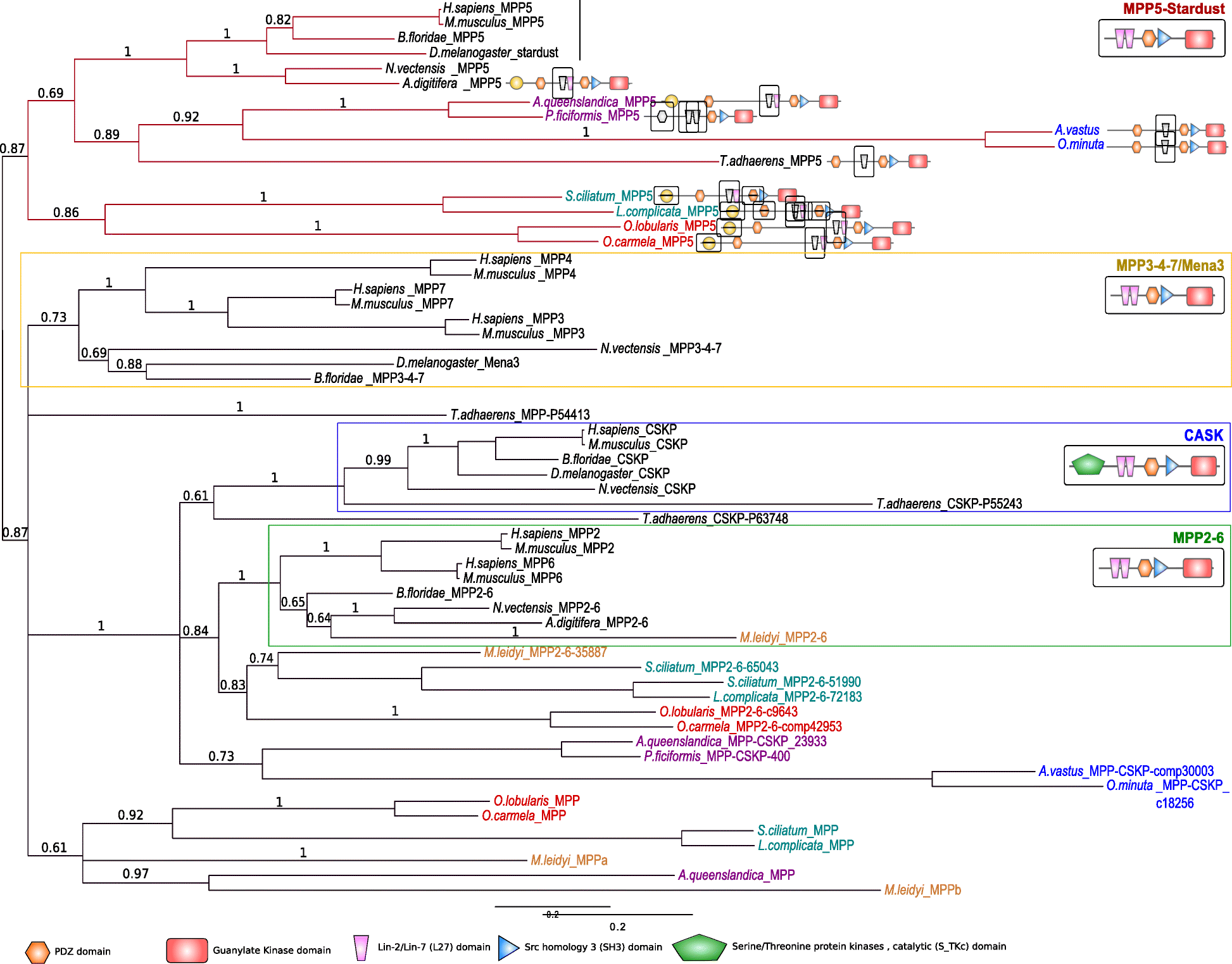 Fig. 6