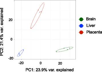 Fig. 7