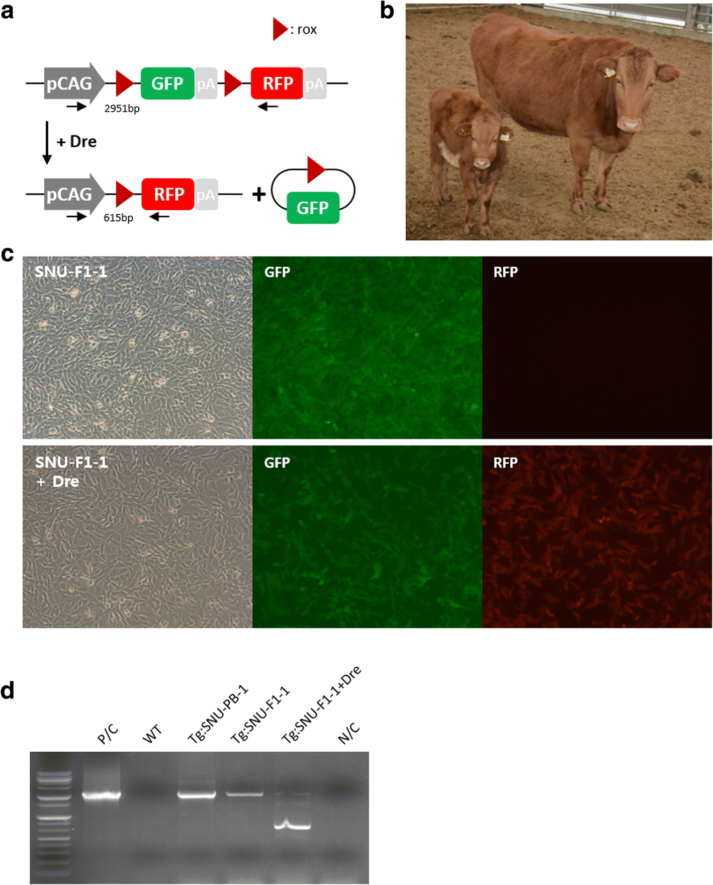 Fig. 4