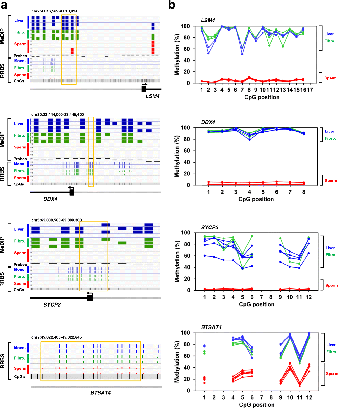 Fig. 6