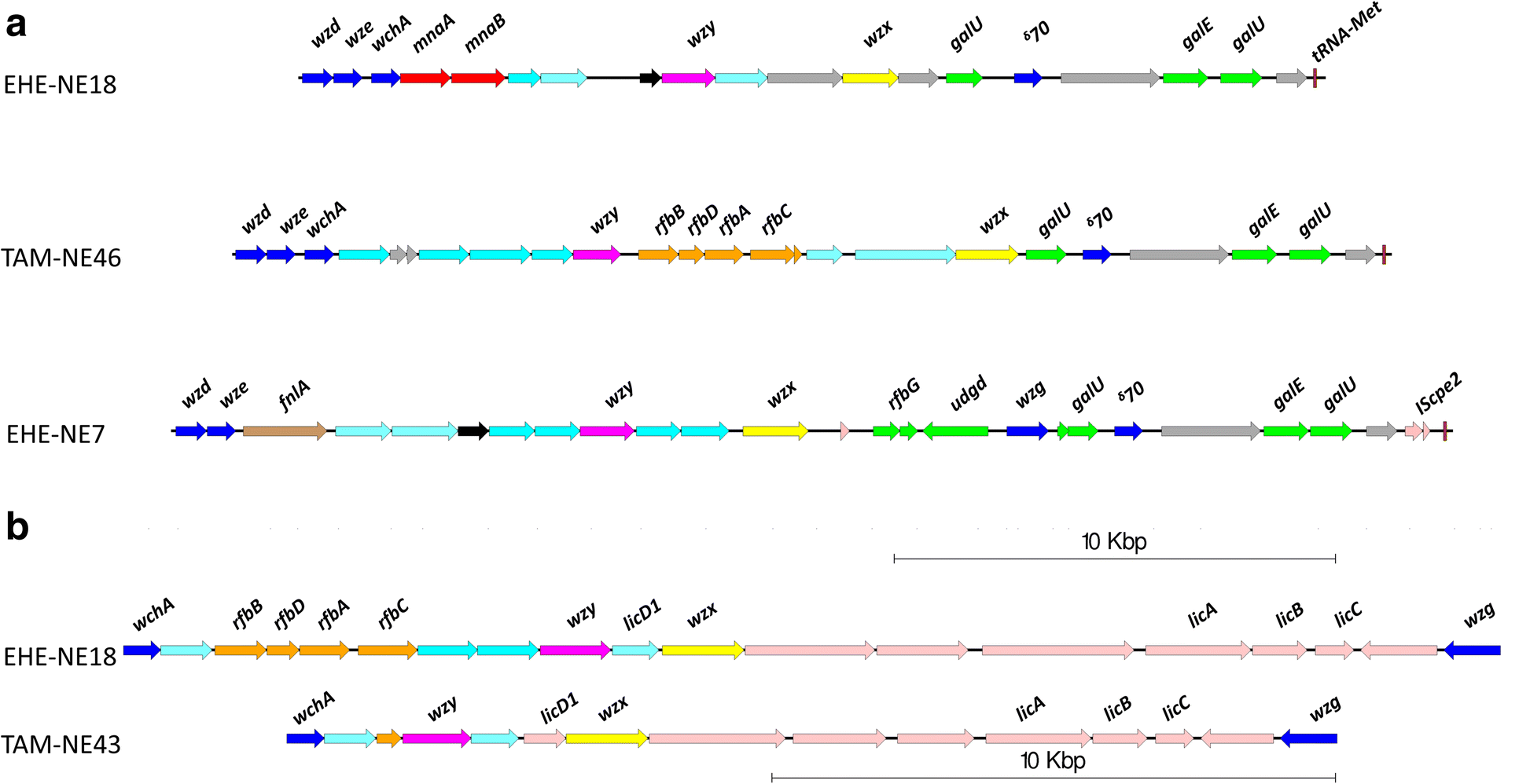 Fig. 8