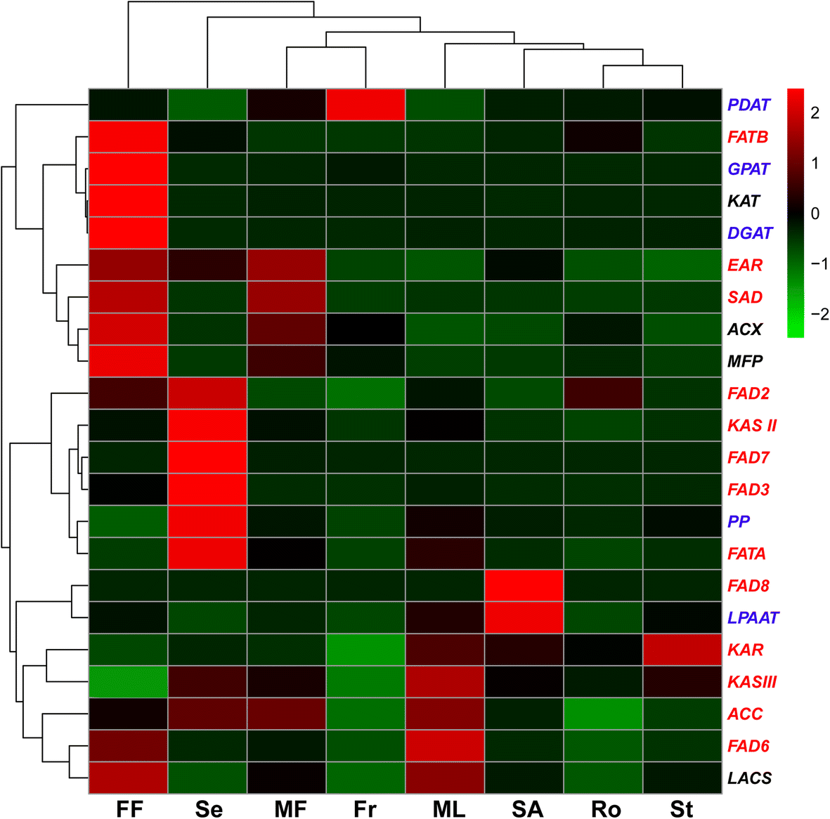 Fig. 2