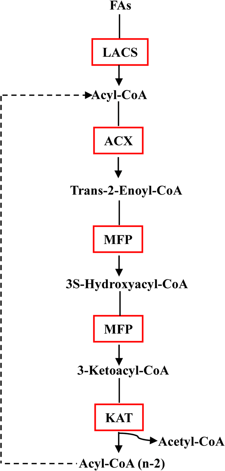 Fig. 5