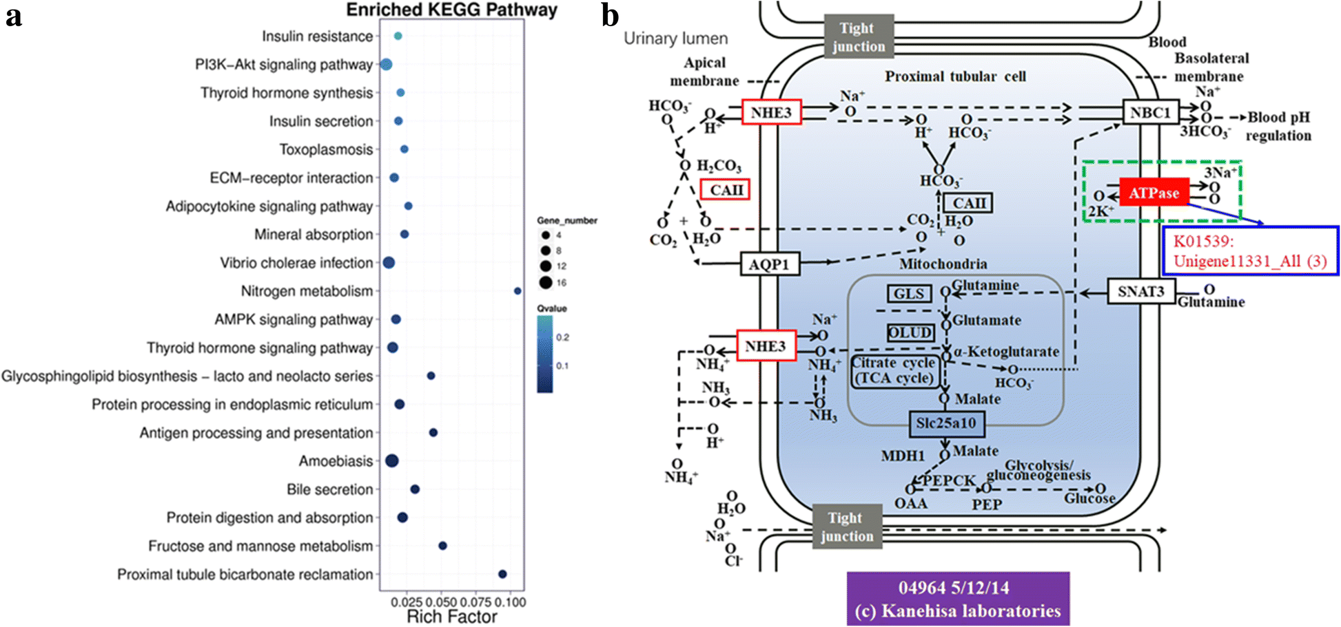 Fig. 6