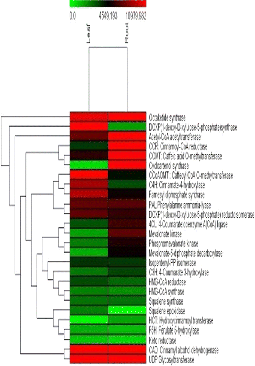 Fig. 12