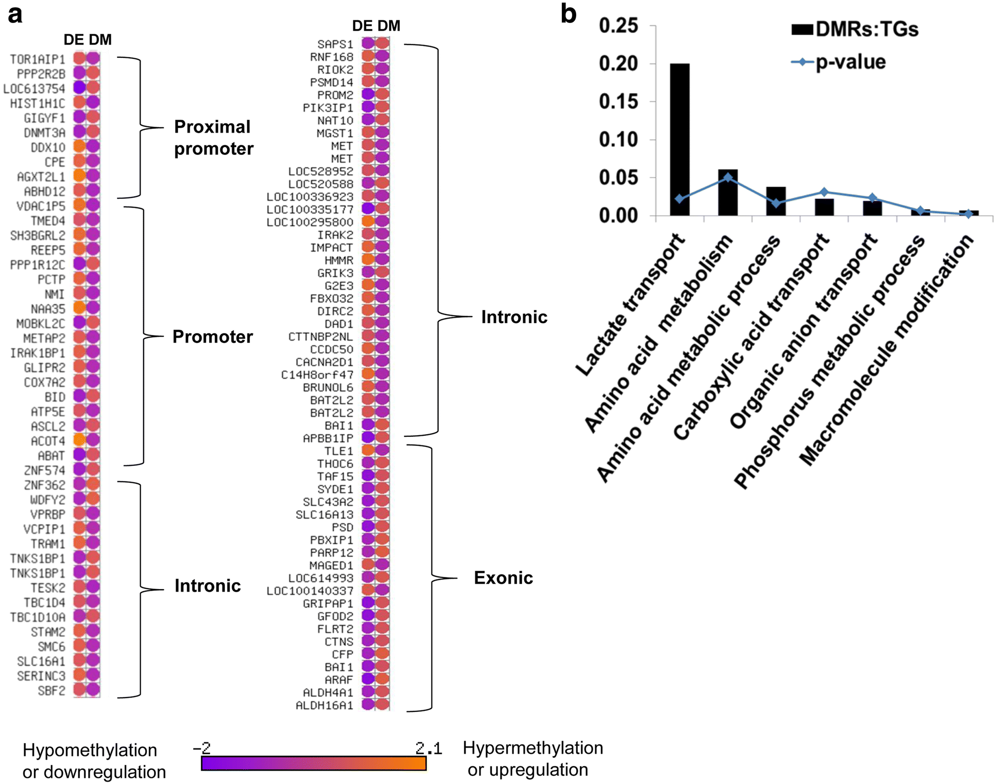 Fig. 11