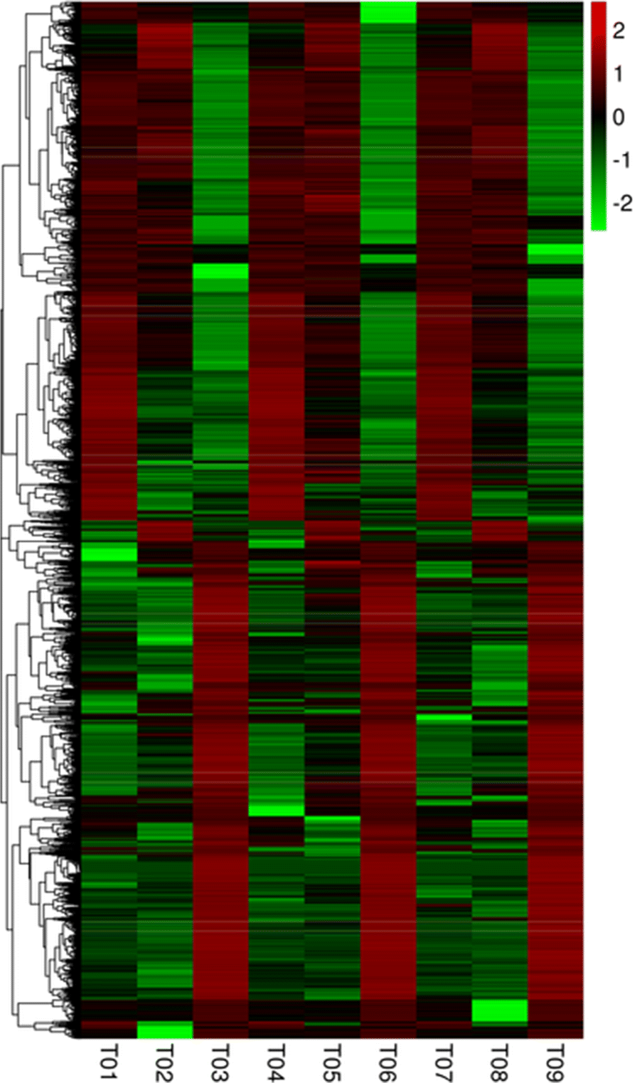 Fig. 11