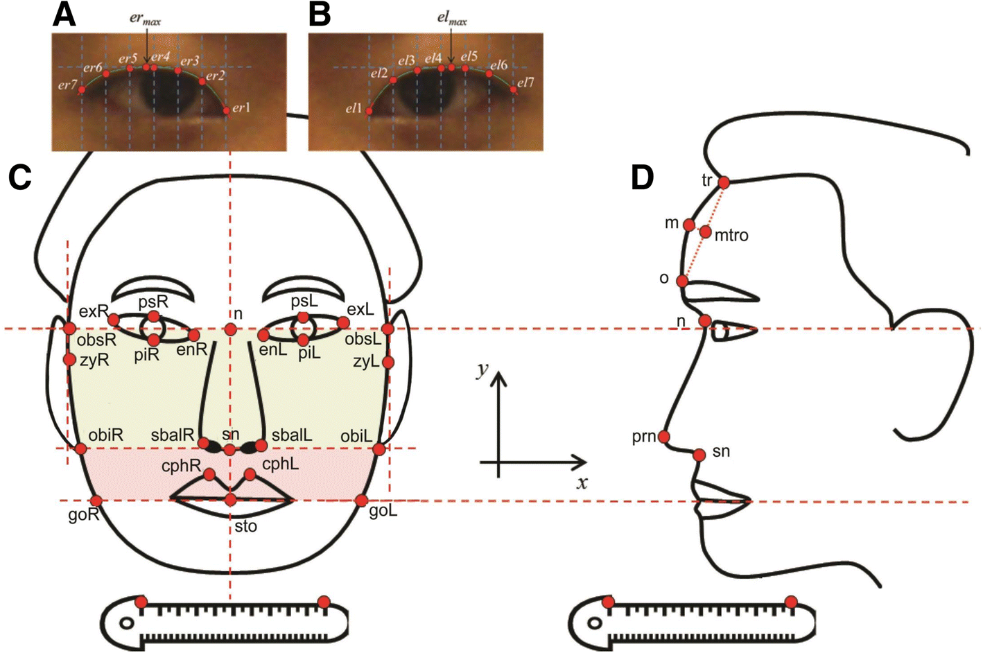 Fig. 1