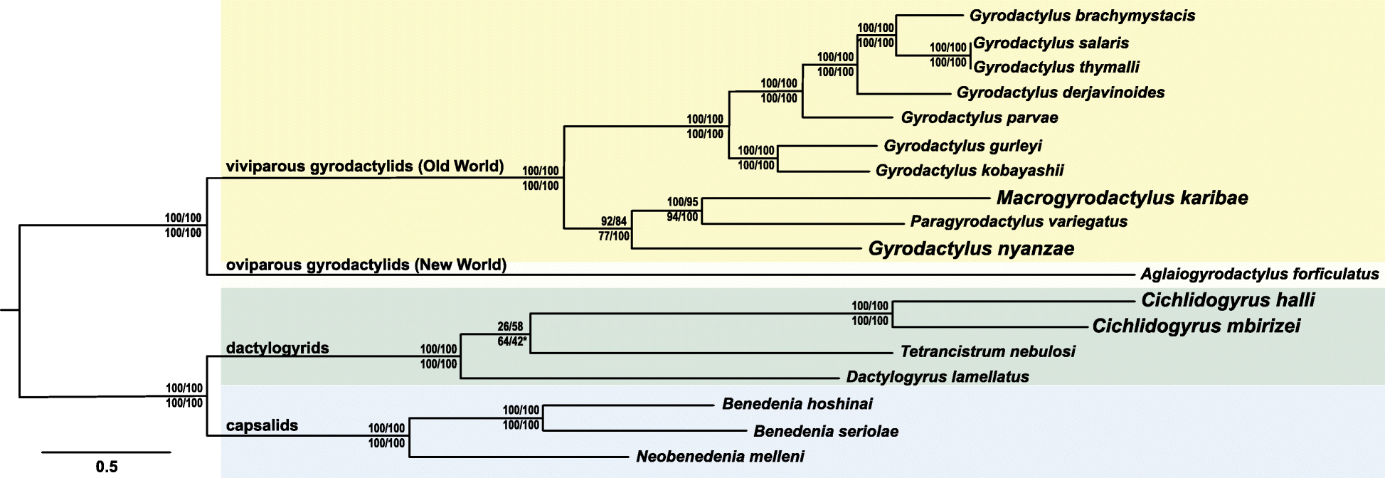 Fig. 4