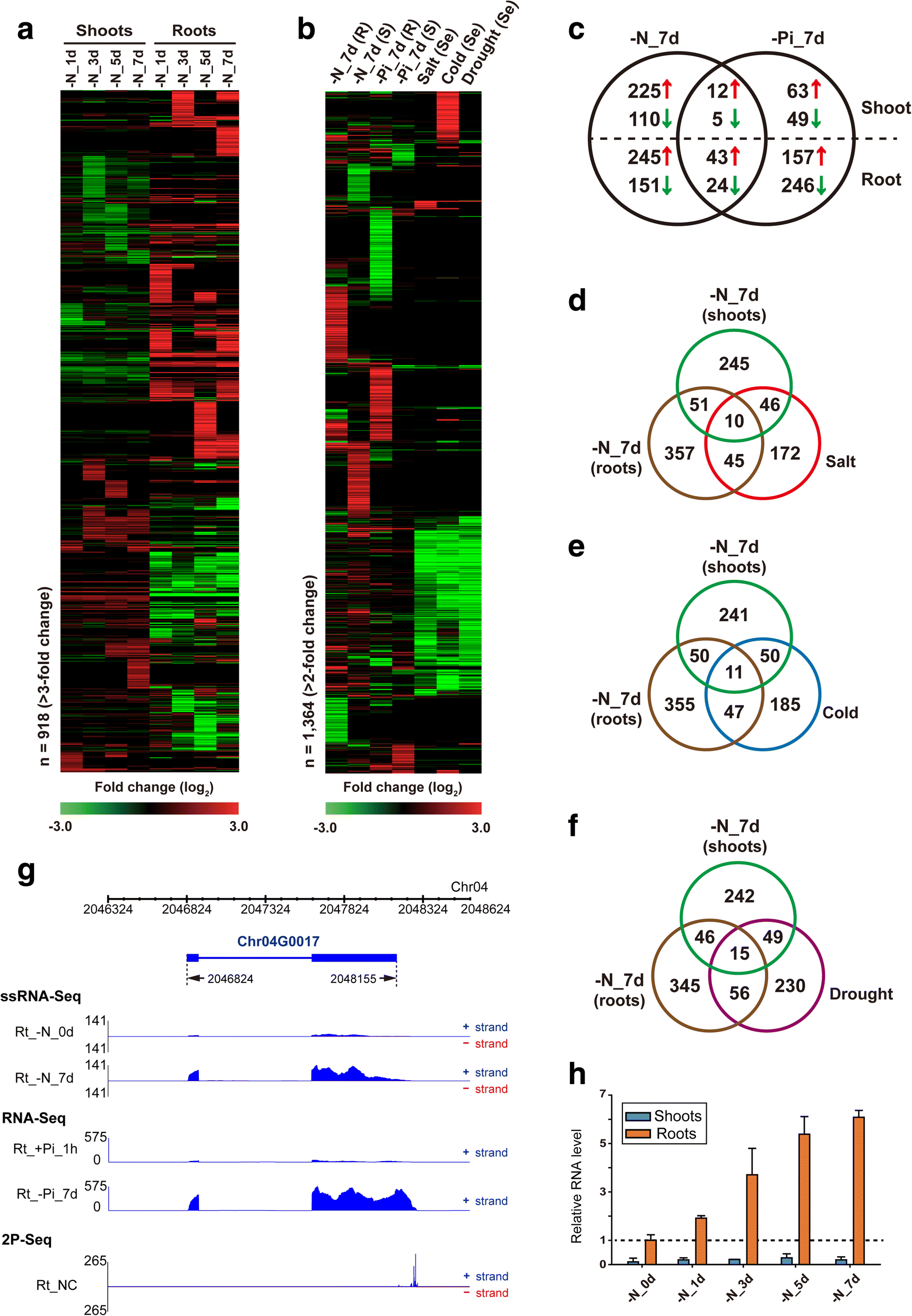 Fig. 4