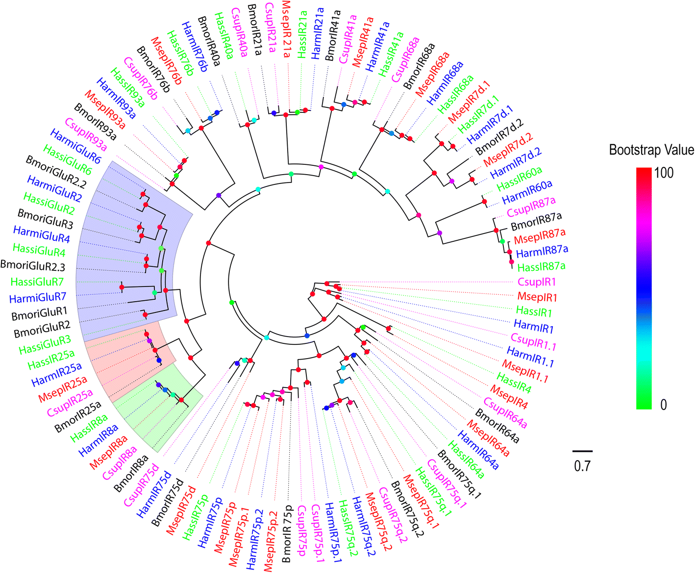 Fig. 2