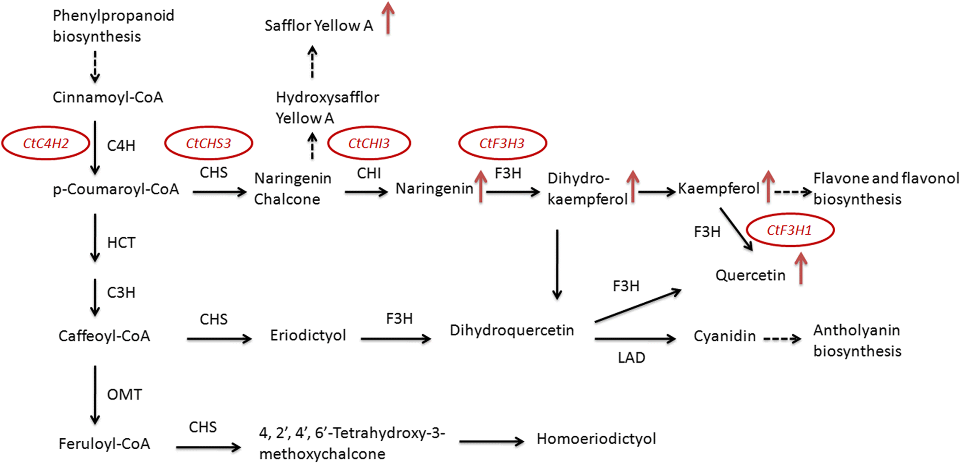 Fig. 6