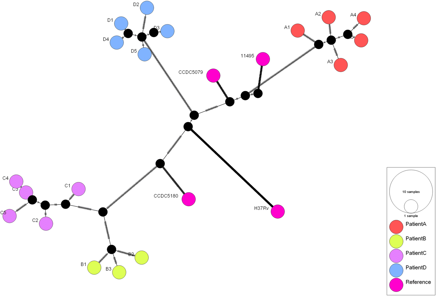 Fig. 1