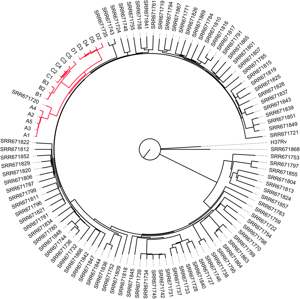 Fig. 5