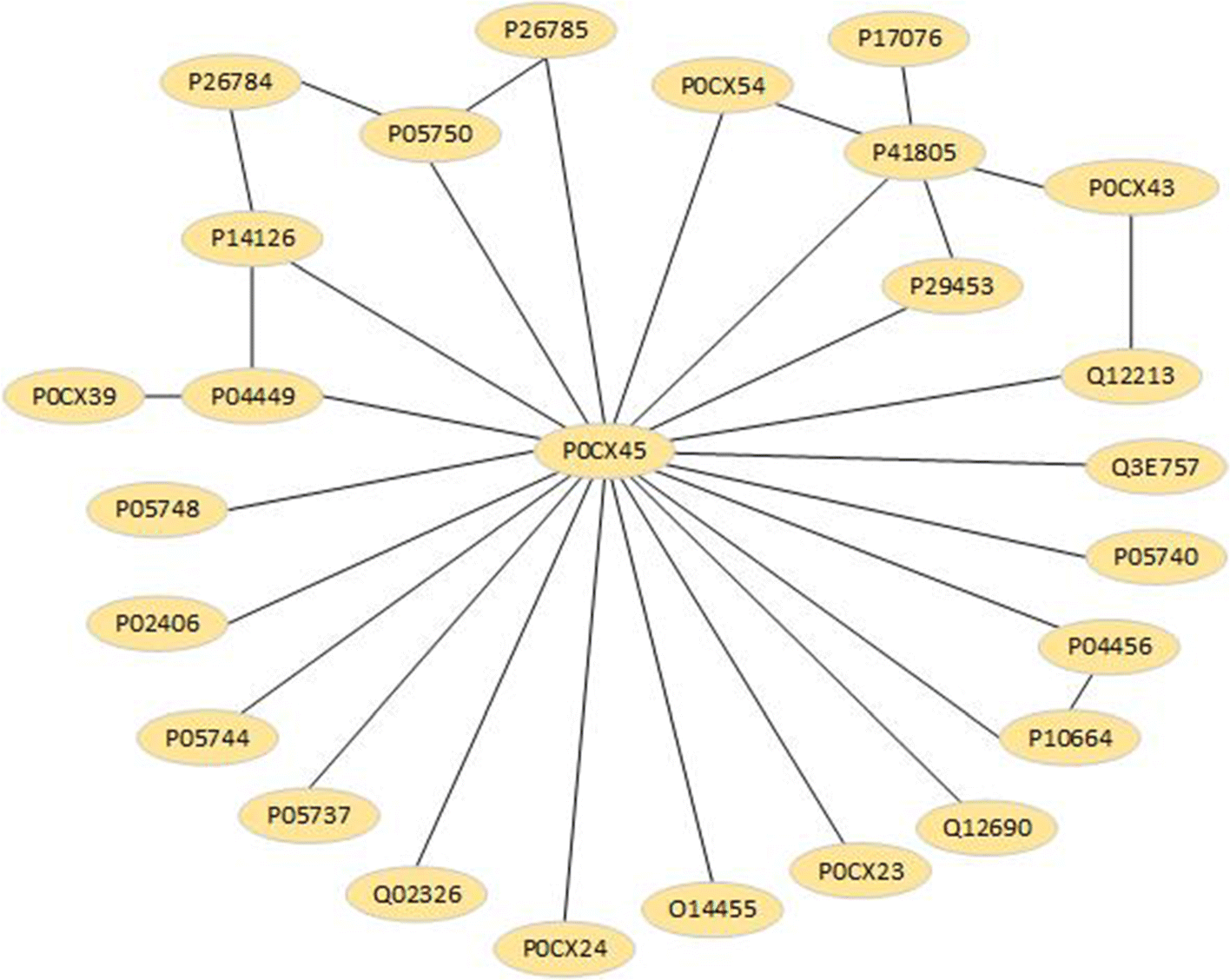 Fig. 19