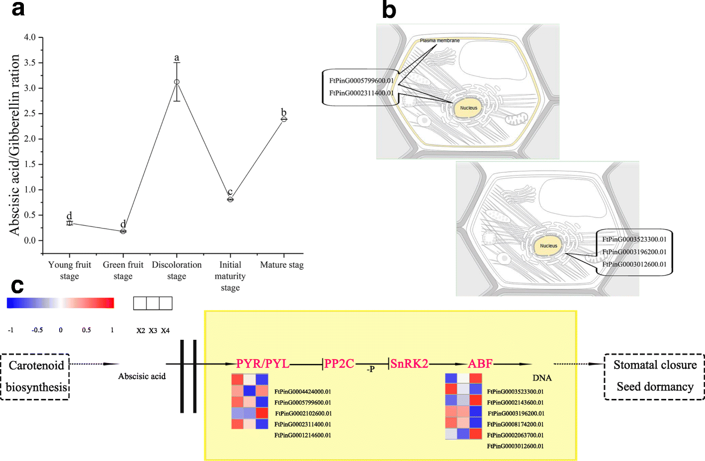 Fig. 9