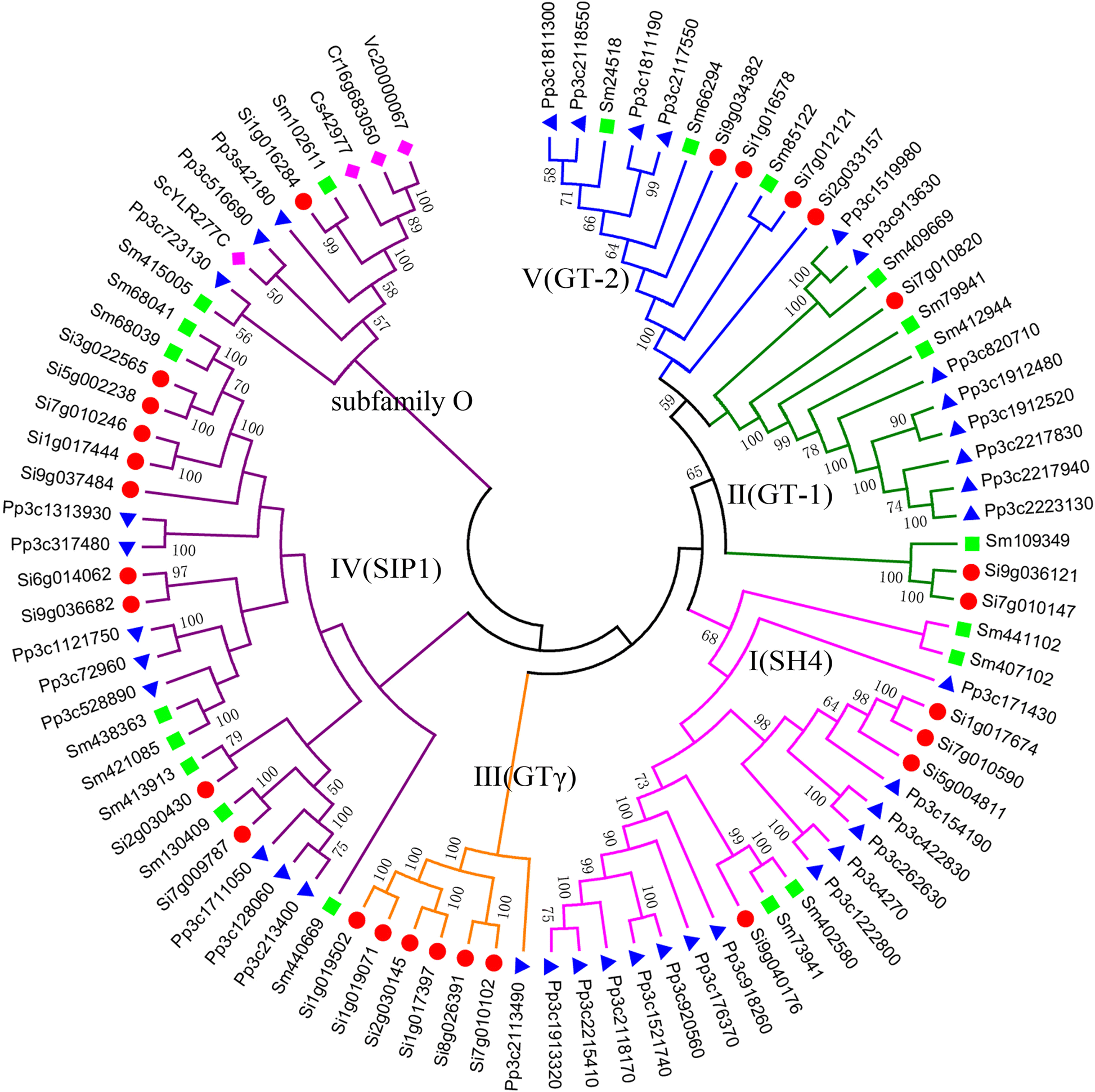 Fig. 5