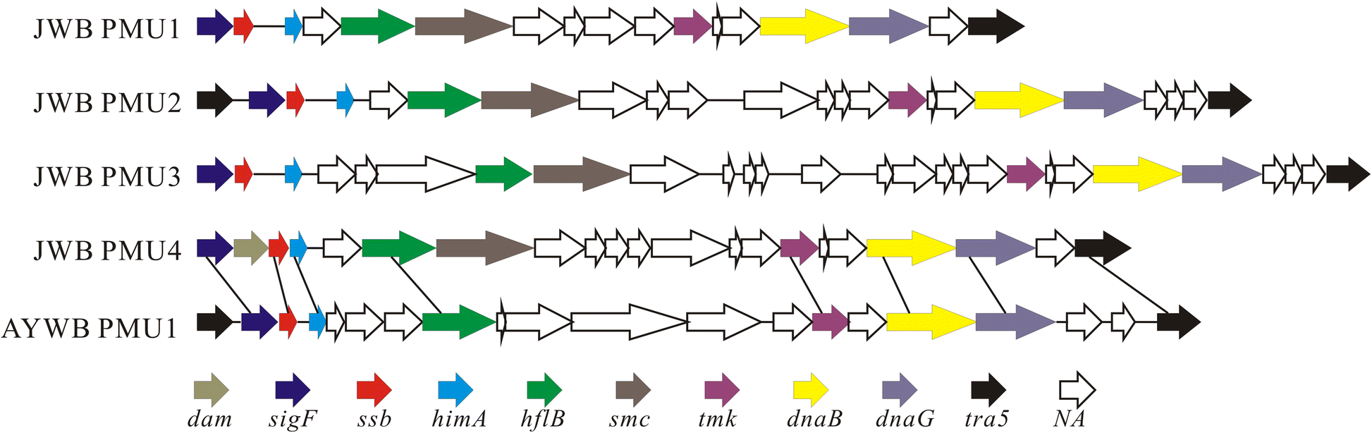 Fig. 8