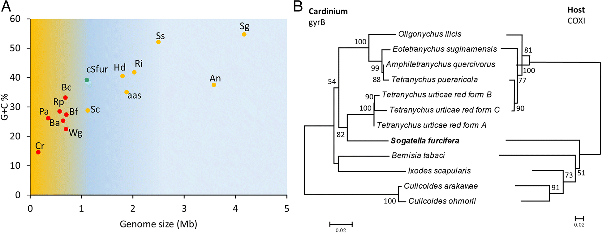 Fig. 8