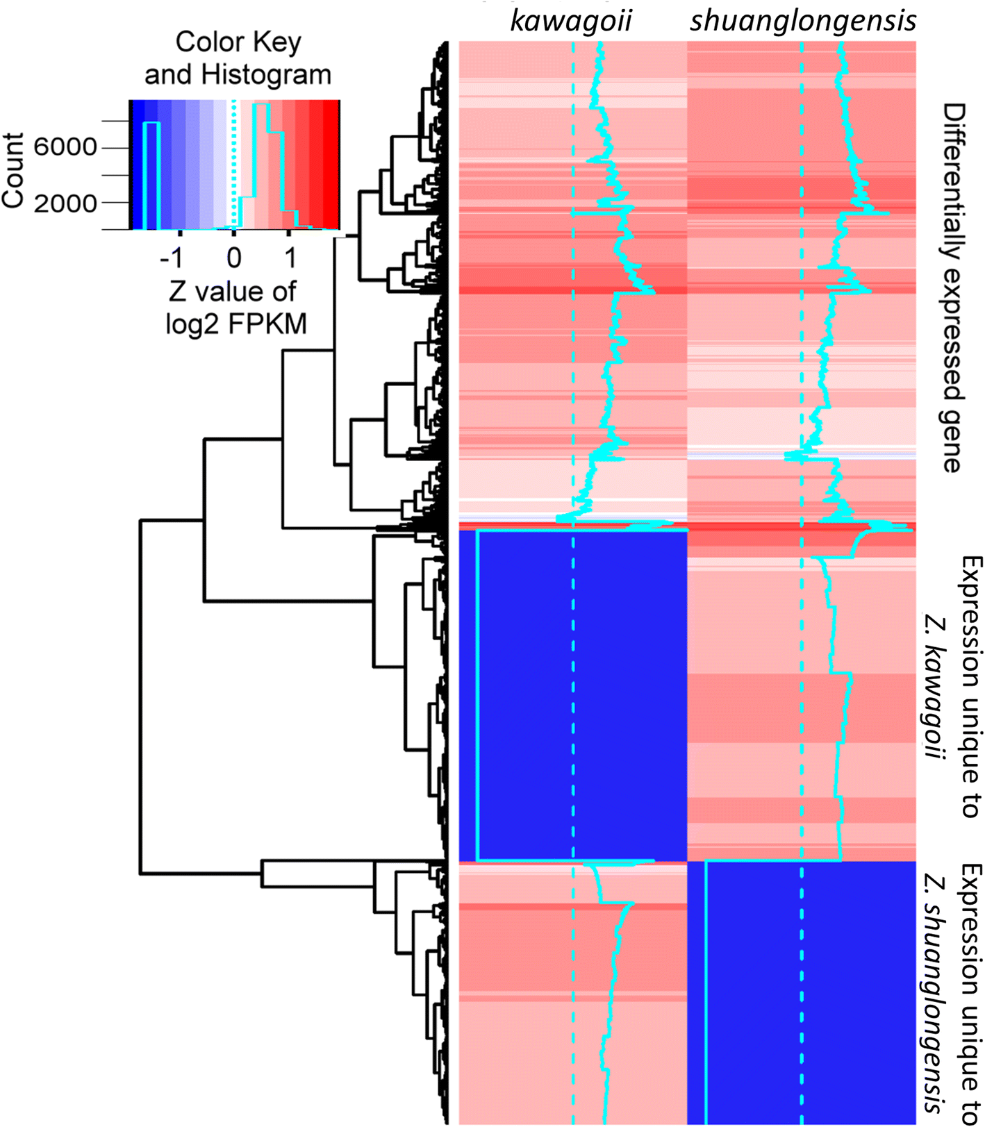 Fig. 3