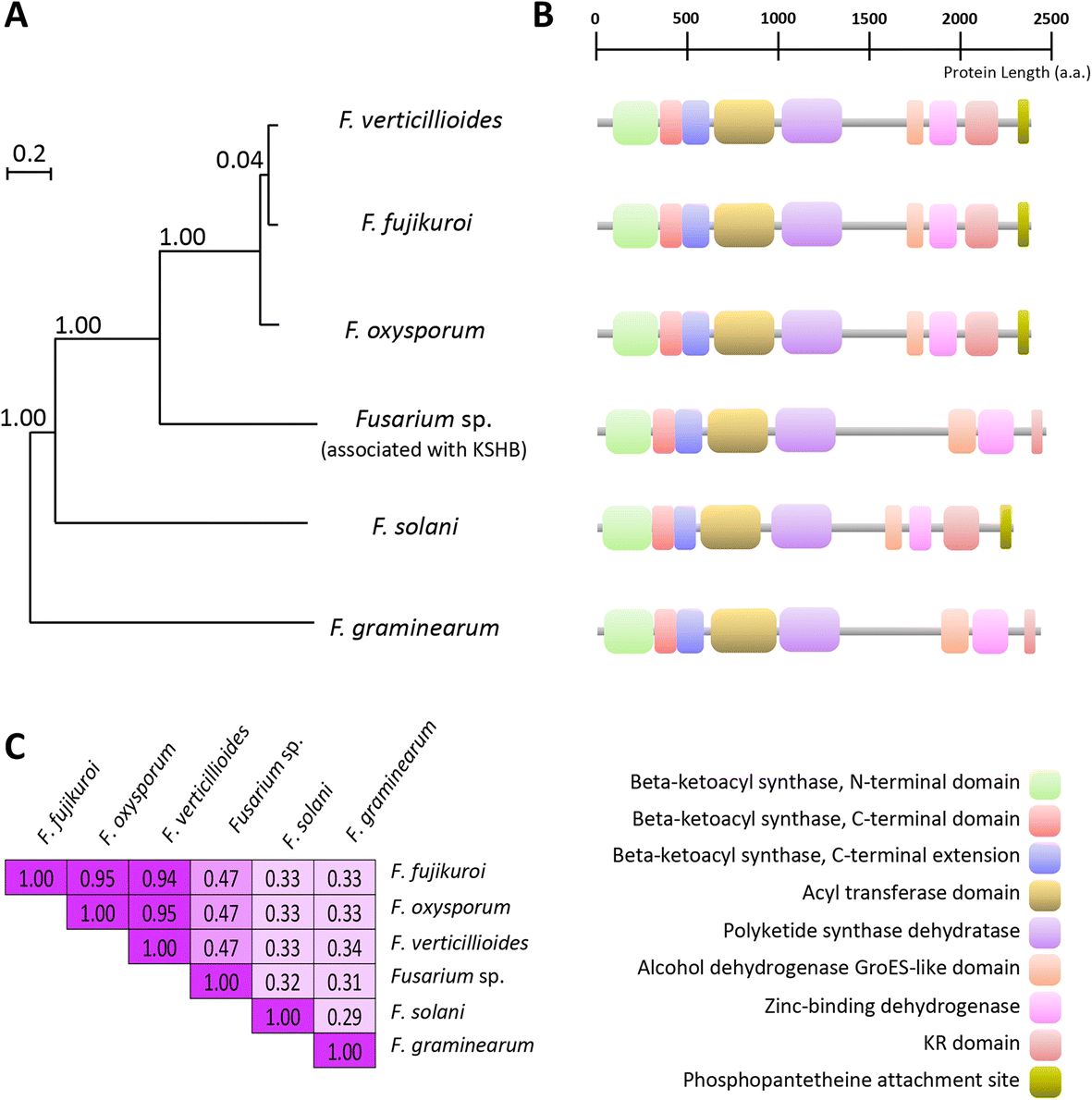 Fig. 9