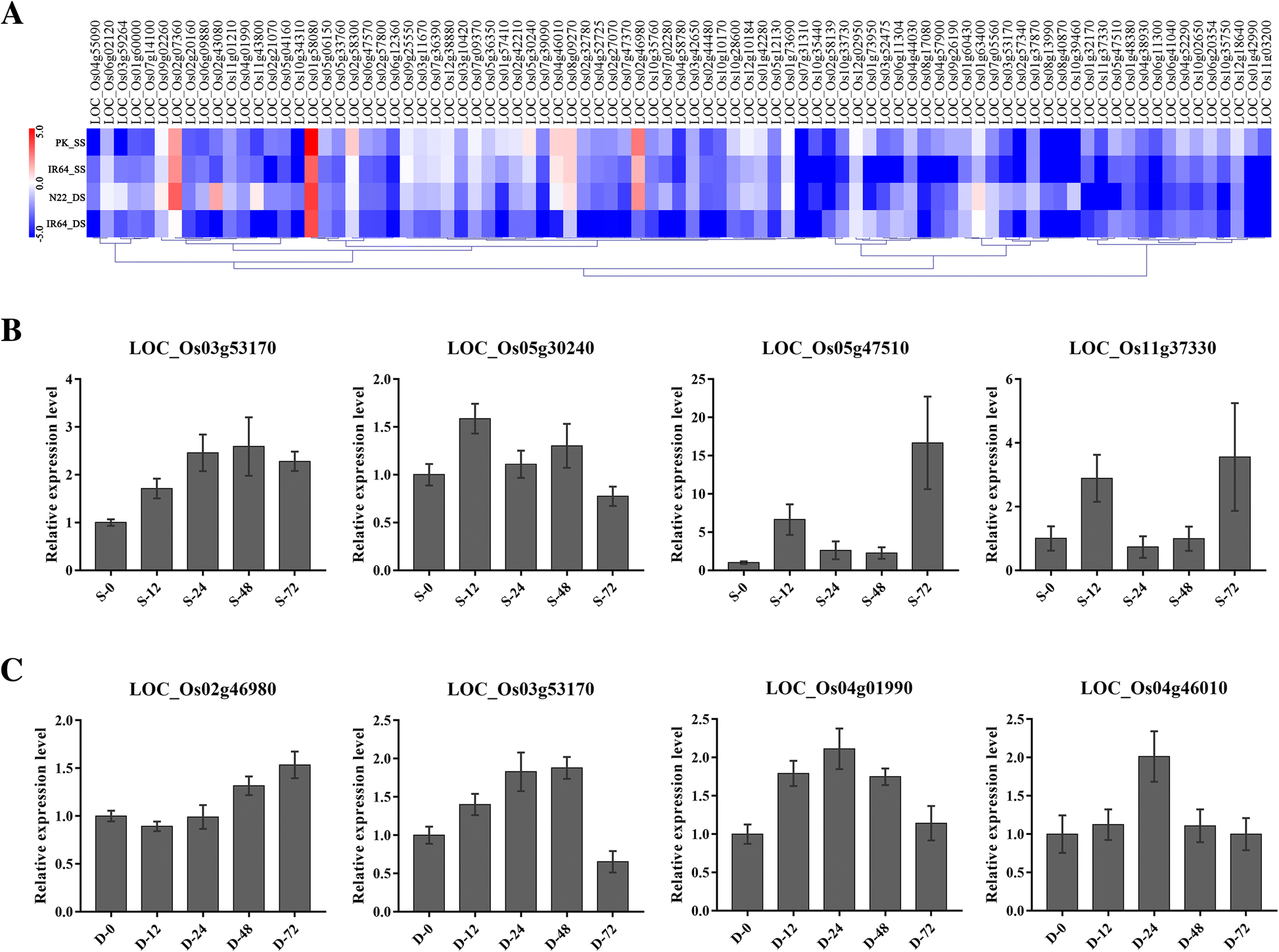 Fig. 7