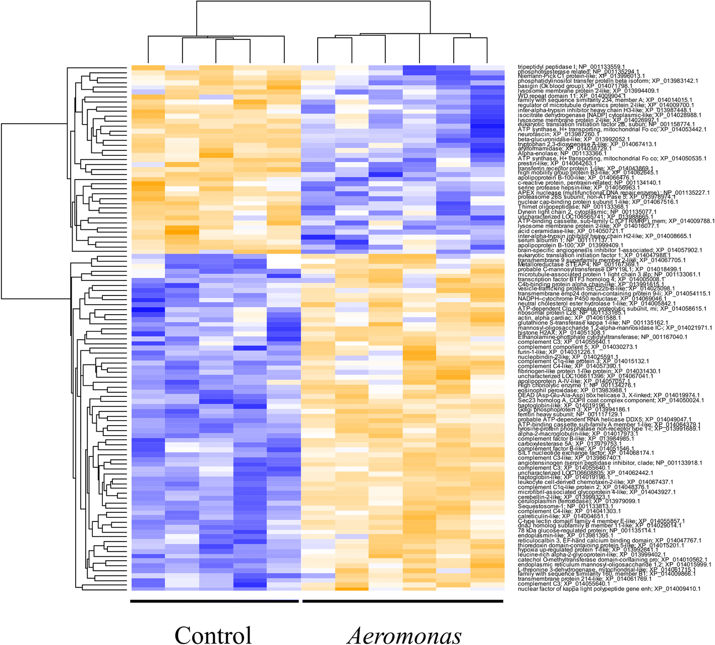 Fig. 3