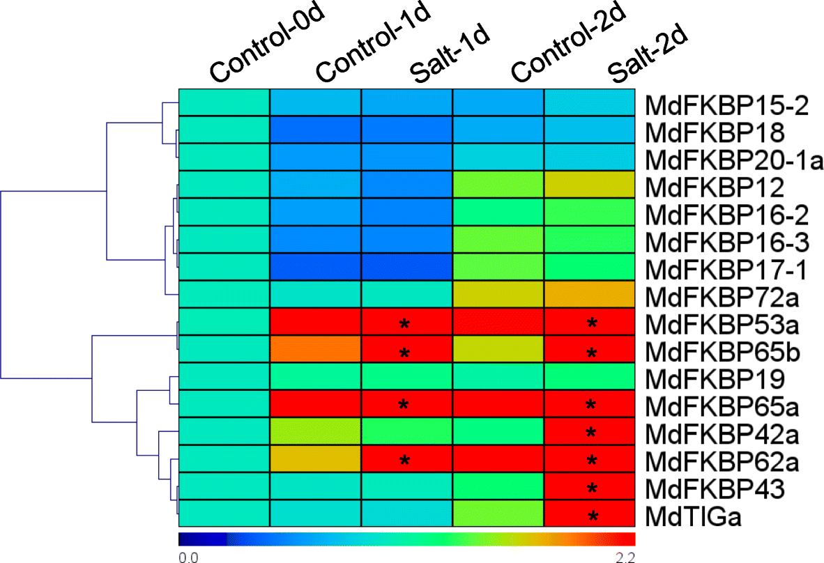 Fig. 9