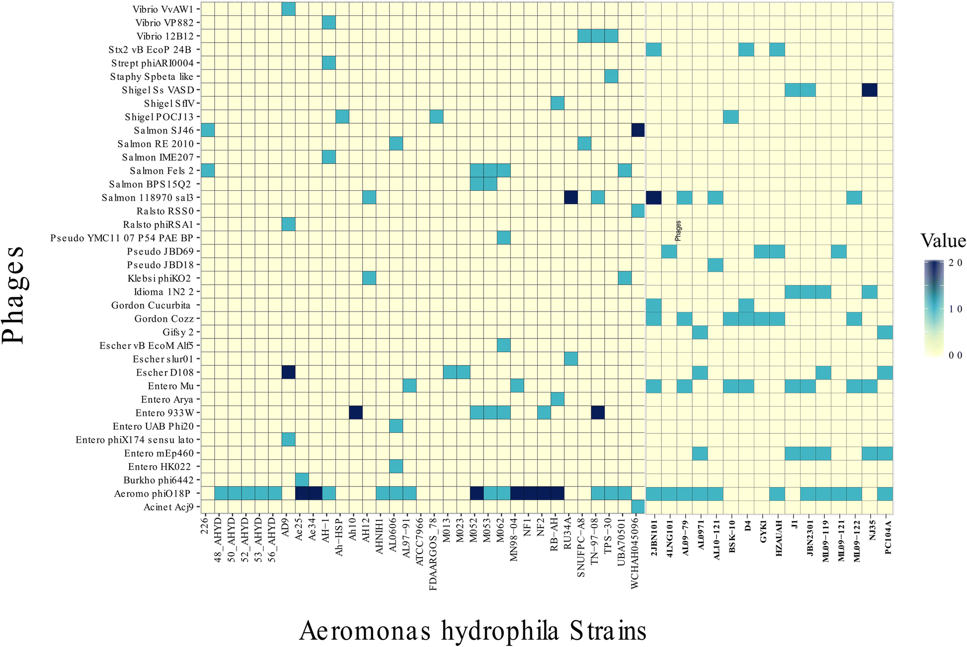 Fig. 10