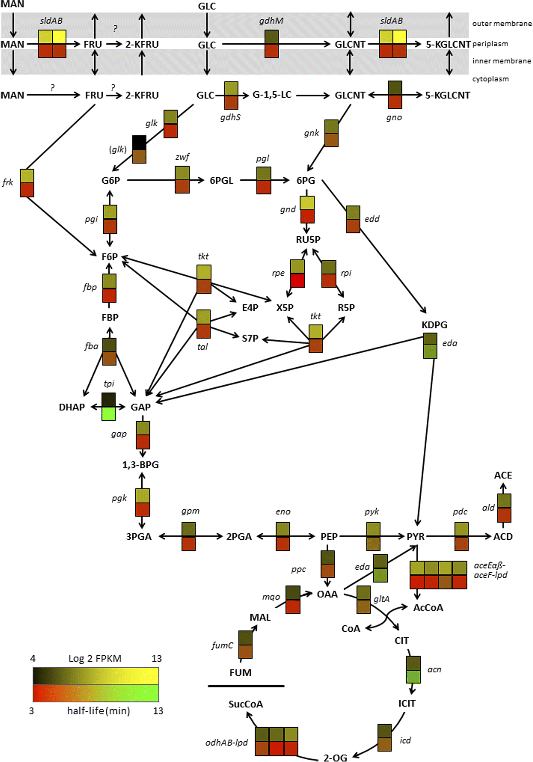 Fig. 4