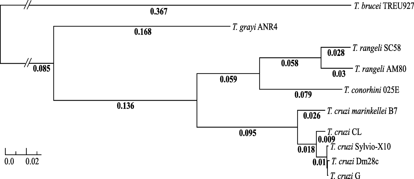 Fig. 2