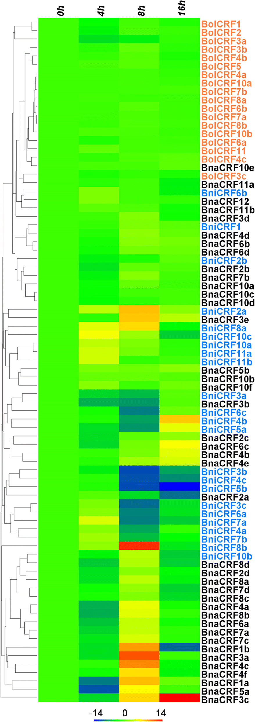 Fig. 7