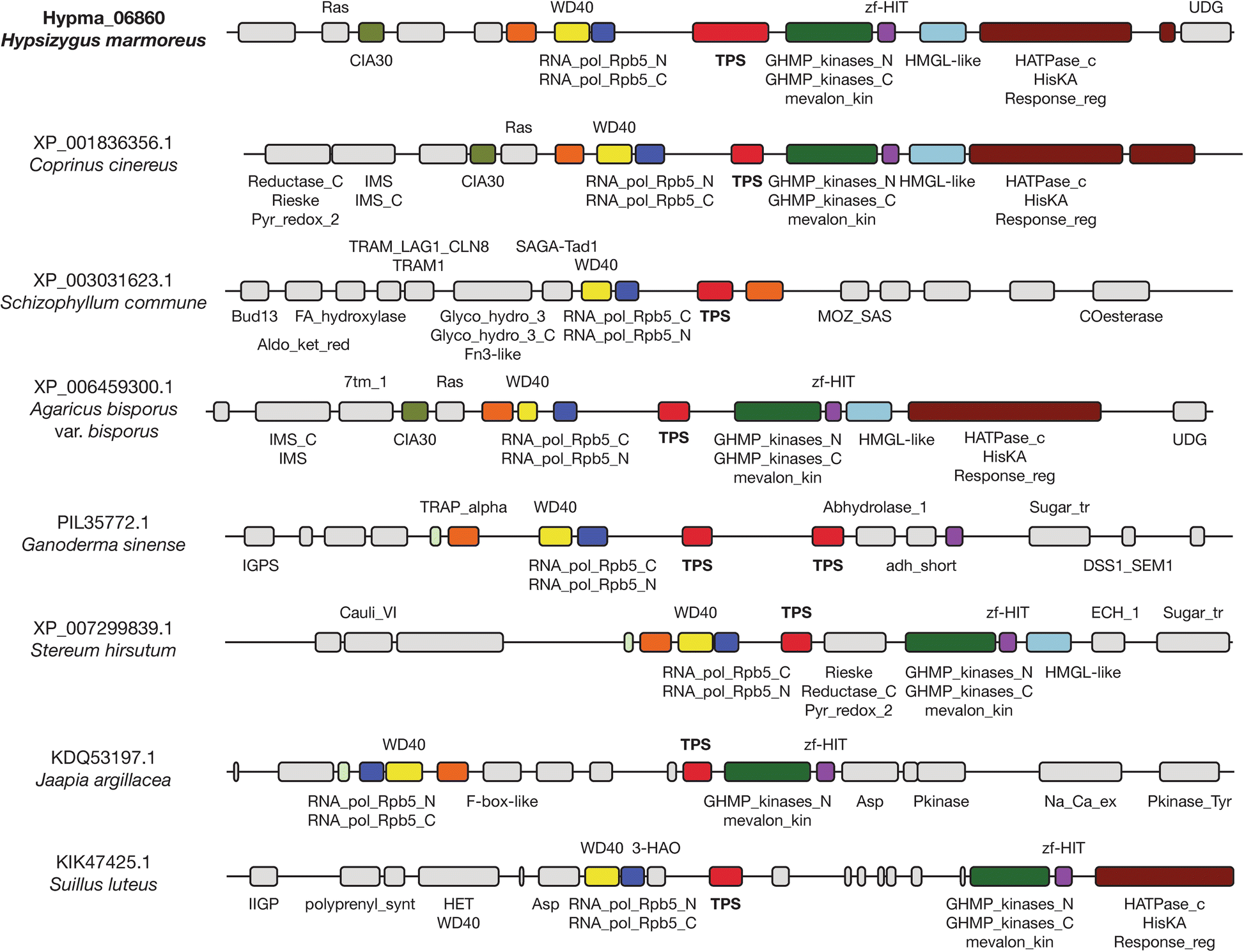 Fig. 7