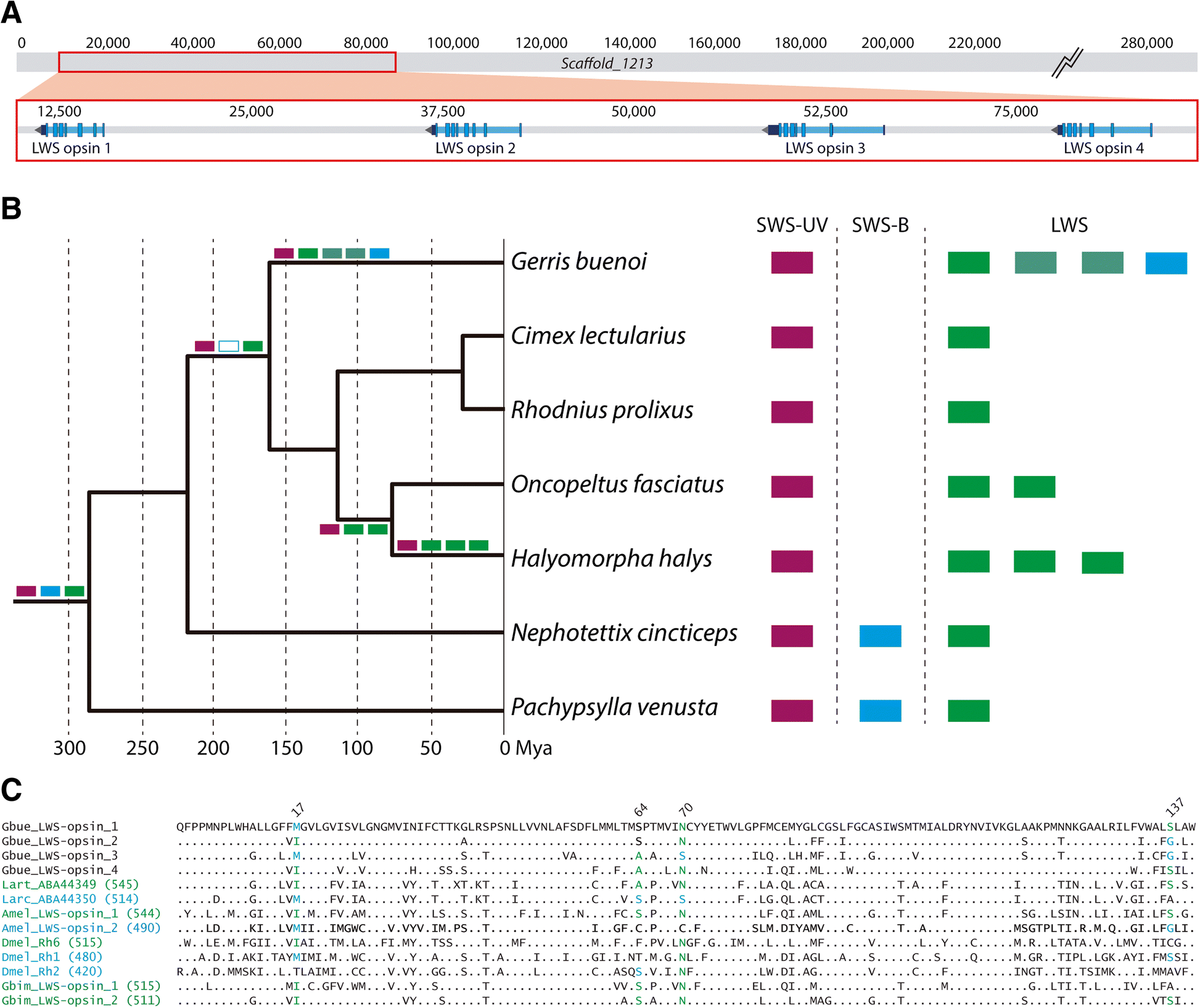 Fig. 4